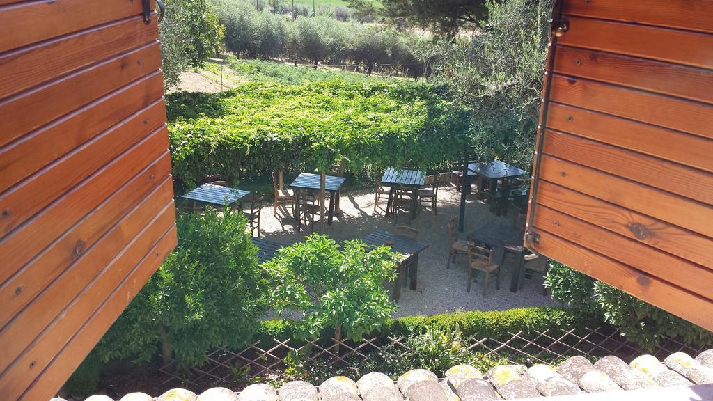 Agriturismo Col Morino Bed & Breakfast Pineto Room photo