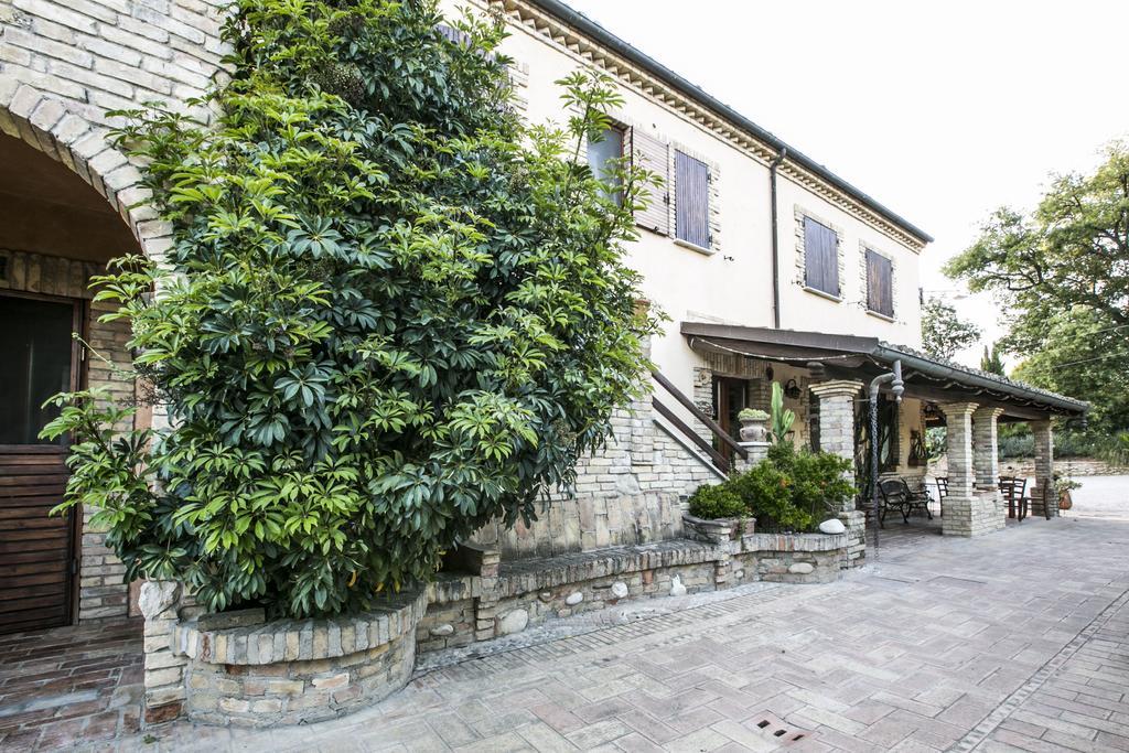 Agriturismo Col Morino Bed & Breakfast Pineto Exterior photo