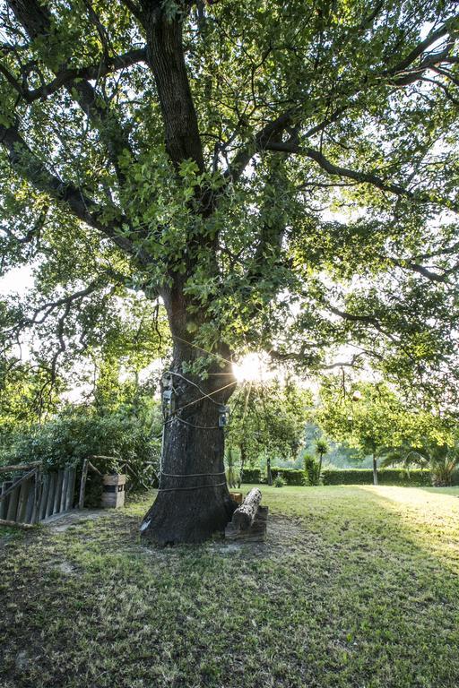 Agriturismo Col Morino Bed & Breakfast Pineto Exterior photo